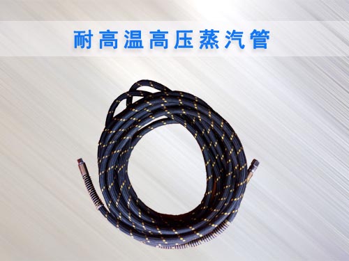 蒸汽洗車機(jī)專用蒸汽管 蒸汽洗車機(jī)專用蒸汽管